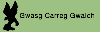 Gwasg Carreg